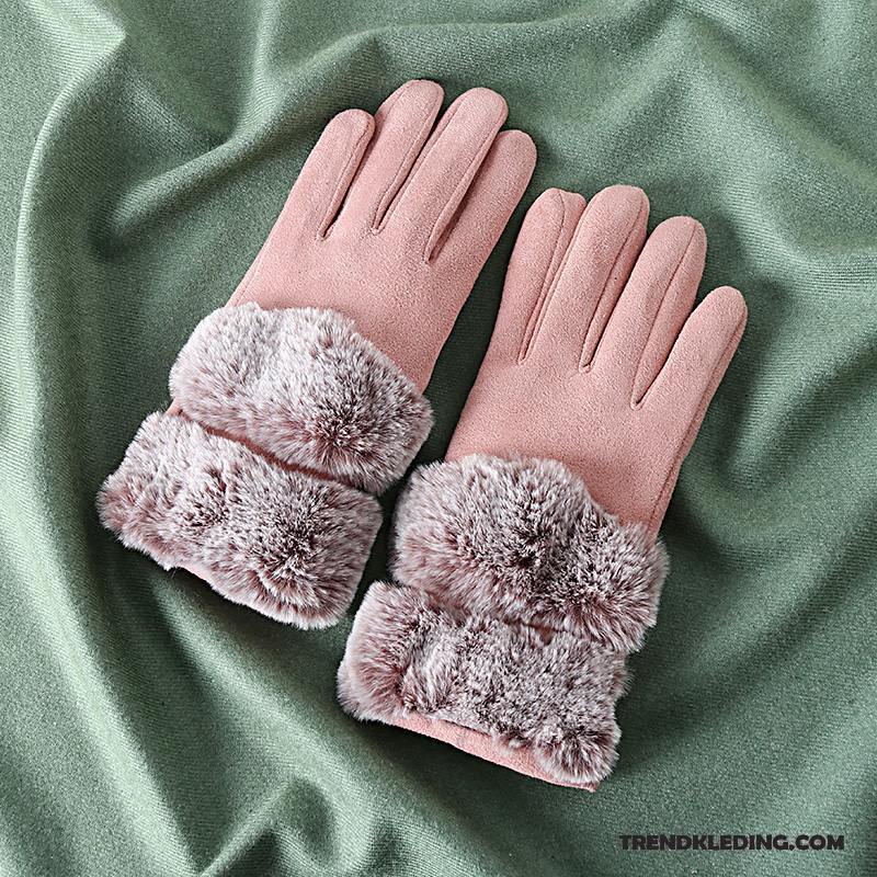 Handschoenen Dames Verdikken Winter Paardrijden Blijf Warm Antislip Schattig Grijs