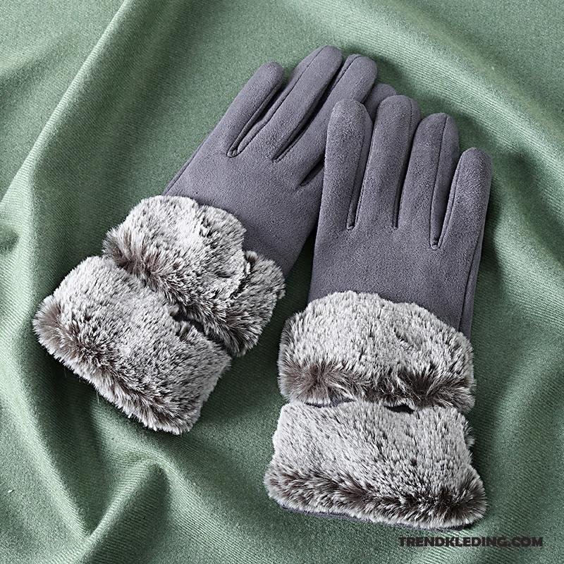 Handschoenen Dames Verdikken Winter Paardrijden Blijf Warm Antislip Schattig Grijs