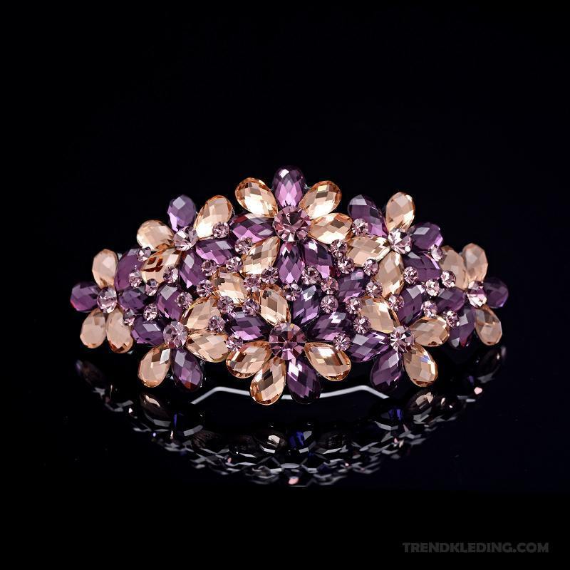 Haarspeld Dames Elegante Alle Wedstrijden Haaraccessoires Paardenstaart Haarclip Volwassen Paars