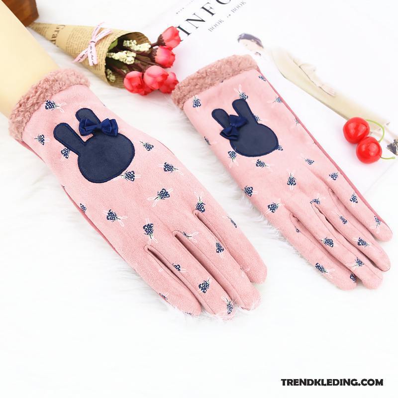 Handschoenen Dames Blijf Warm Schattig Winter Cartoon Herfst Student Hemelsblauw