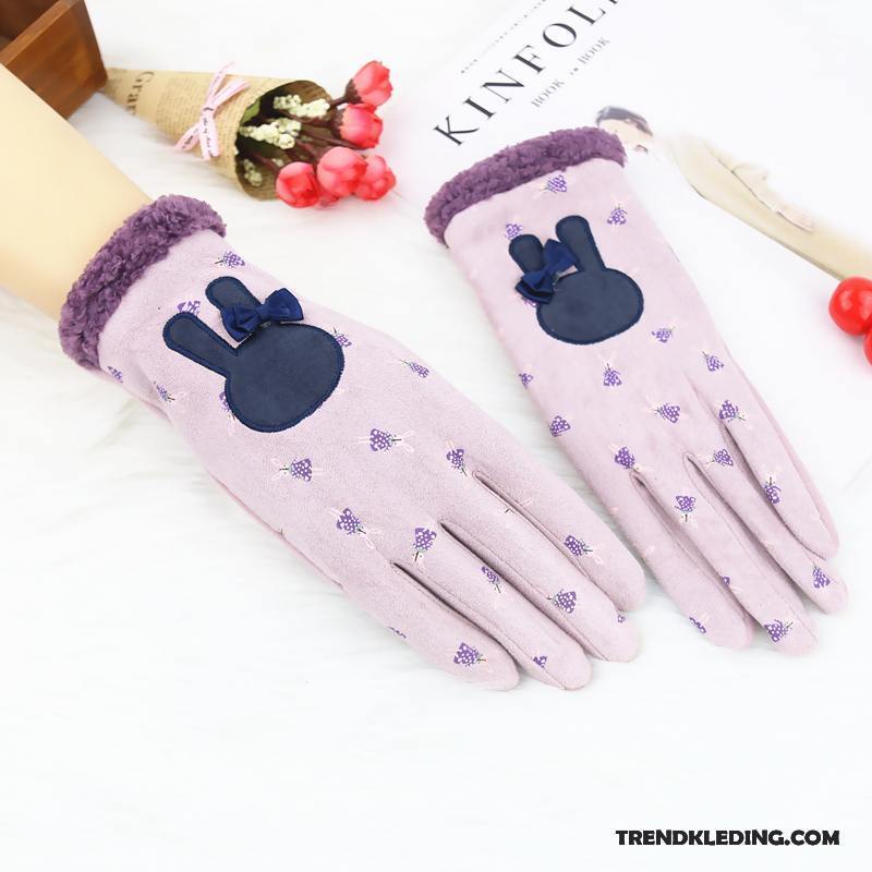 Handschoenen Dames Blijf Warm Schattig Winter Cartoon Herfst Student Hemelsblauw