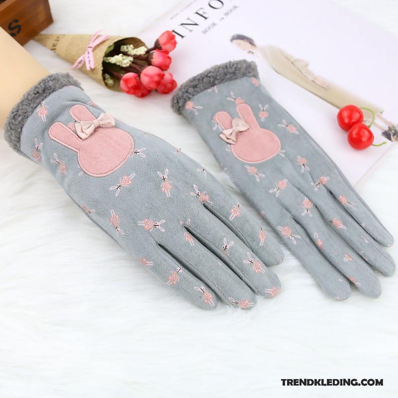 Handschoenen Dames Blijf Warm Schattig Winter Cartoon Herfst Student Hemelsblauw