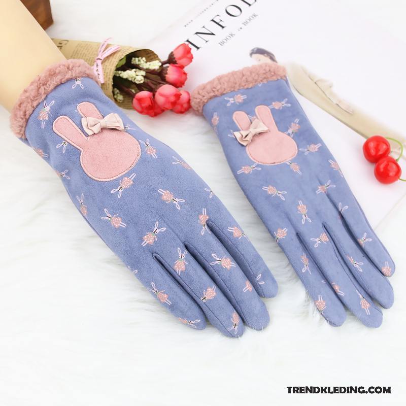 Handschoenen Dames Blijf Warm Schattig Winter Cartoon Herfst Student Hemelsblauw