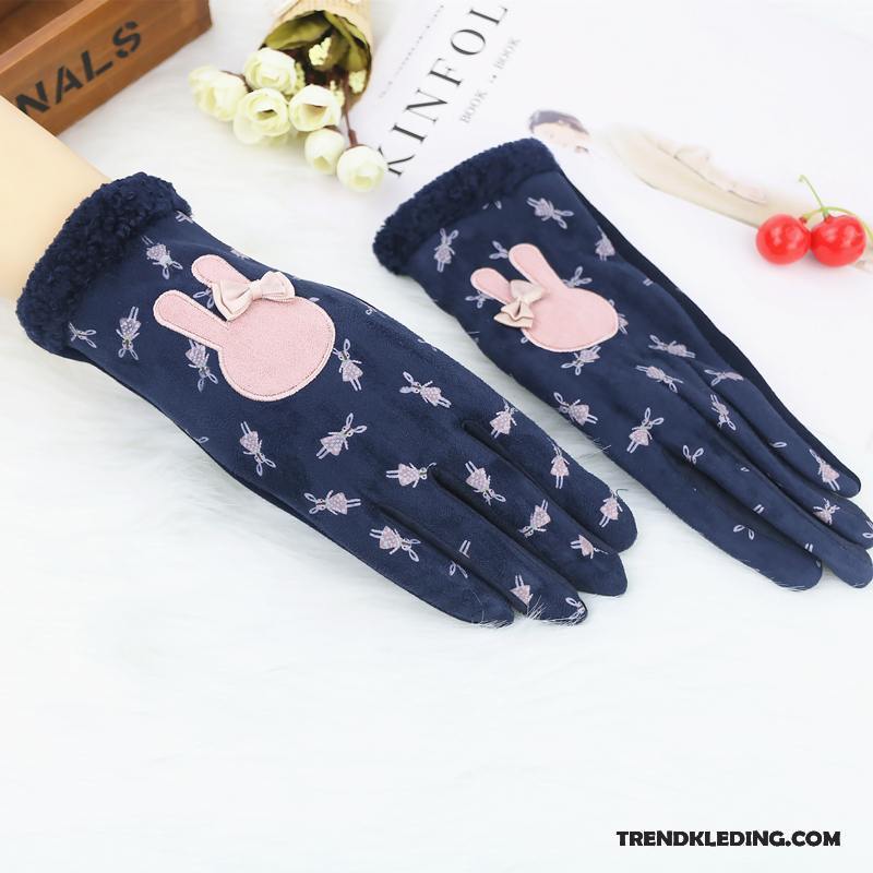 Handschoenen Dames Blijf Warm Schattig Winter Cartoon Herfst Student Hemelsblauw