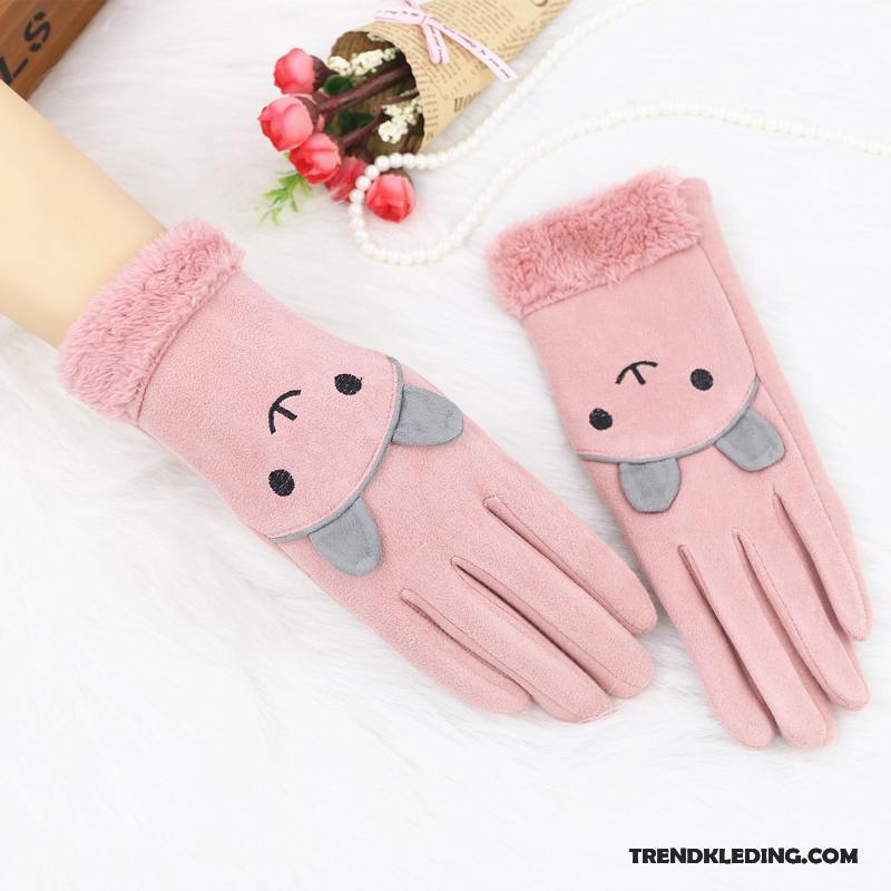 Handschoenen Dames Blijf Warm Schattig Winter Cartoon Herfst Student Hemelsblauw