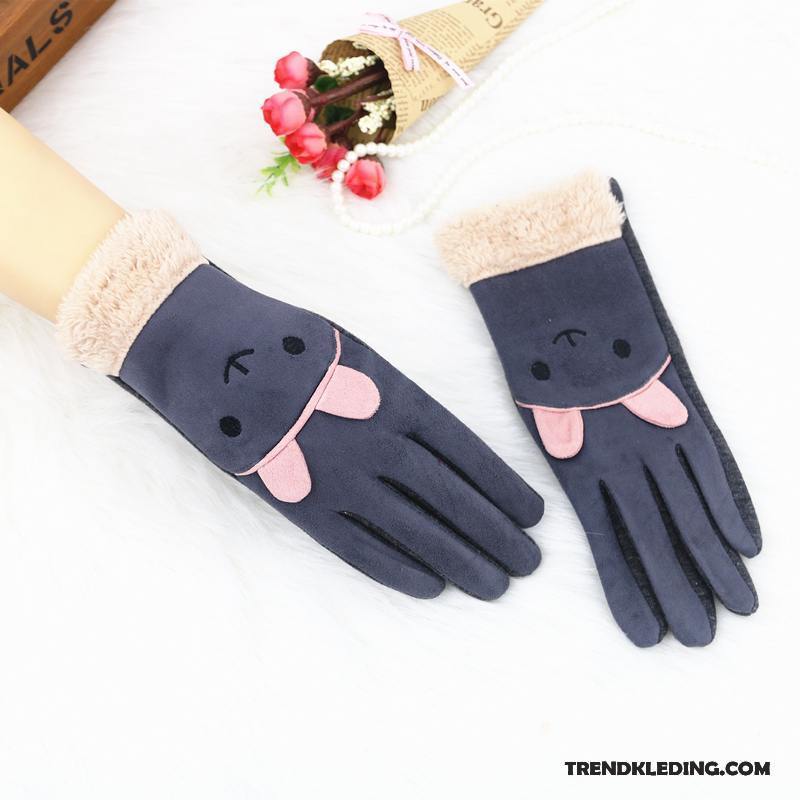 Handschoenen Dames Blijf Warm Schattig Winter Cartoon Herfst Student Hemelsblauw