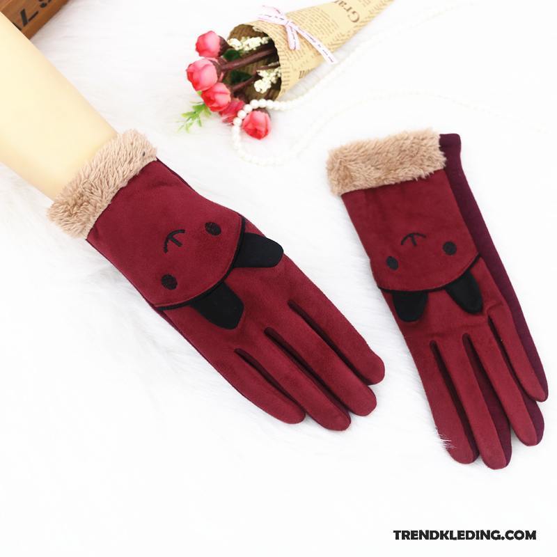 Handschoenen Dames Blijf Warm Schattig Winter Cartoon Herfst Student Hemelsblauw