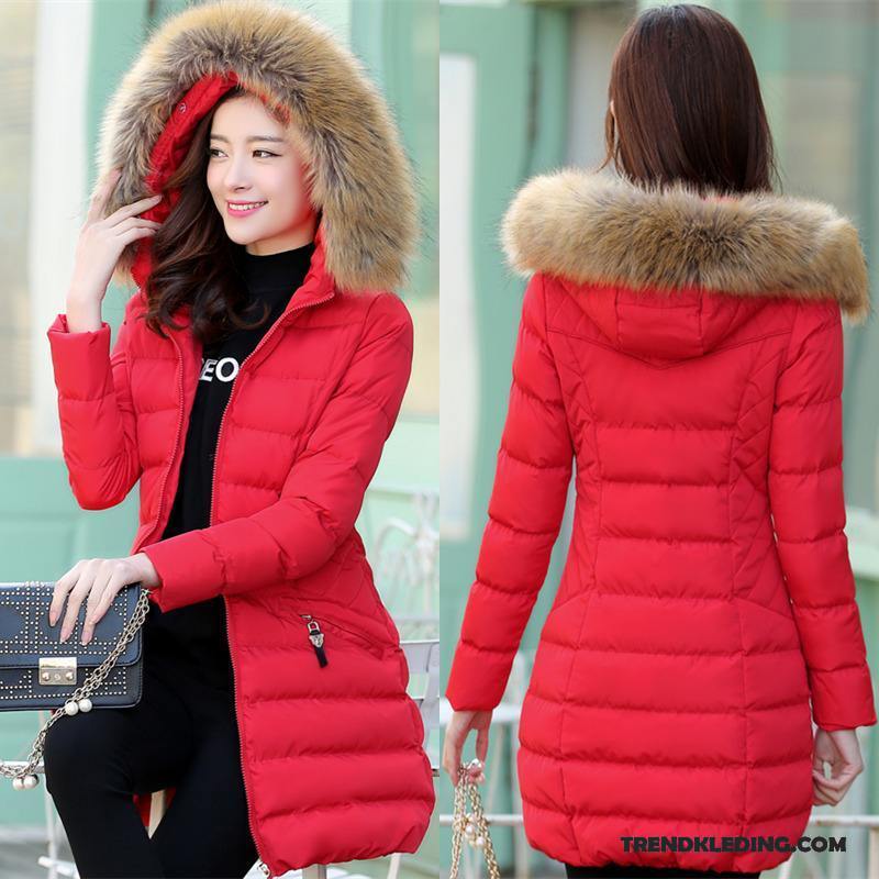 Katoenen Jas Dames Nieuw Donsjack Trend Grote Maten Slim Fit Winter Kleding Roze Rood