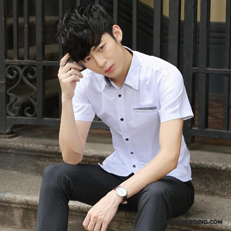 Overhemd Korte Mouw Heren Trend Casual Overhemd Kort Mouw Nieuw Slim Fit Mannelijk Wit