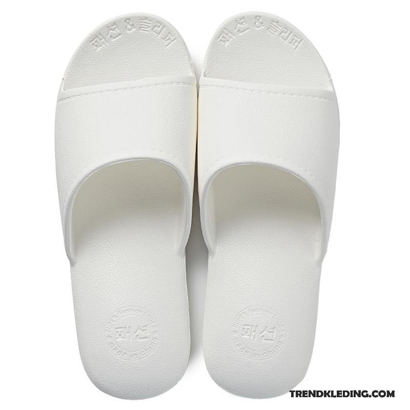 Pantoffels Dames Binnen Zomer Lovers Slippers Mannen Vrouwen Grijs