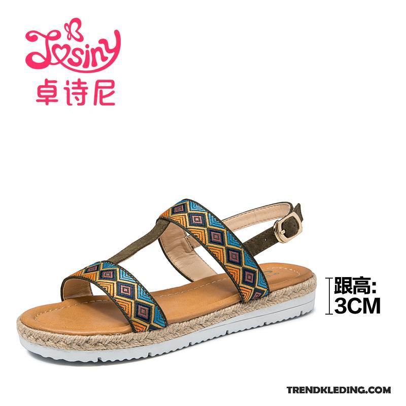 Sandalen Dames Vrouwen Casual Mode Zomer Natie Schoenen Kleur