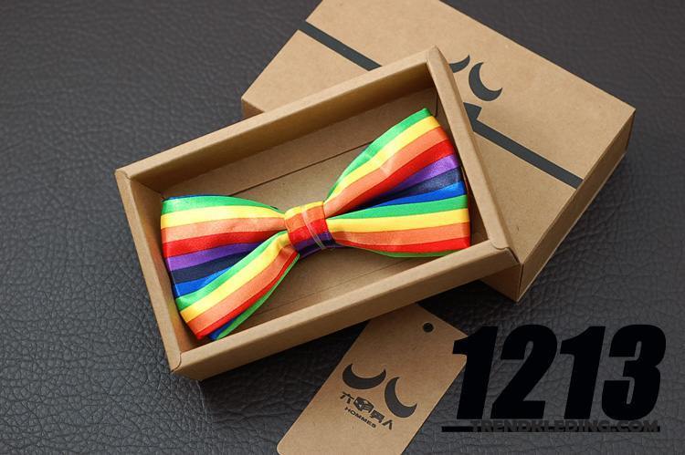 Vlinderdas Heren Geklede Bruidegom Huwelijk Business Casual Kleur Regenboog