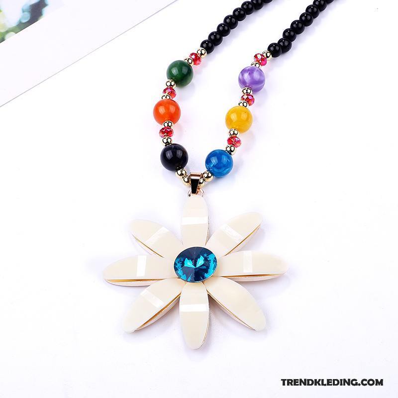 Ketting Dames Kristal Eenvoudig Alle Wedstrijden Herfst Trui Accessoires Kleur Goedkoop Ketting Dames Kristal Eenvoudig Alle Wedstrijden Herfst Trui Accessoires Kleur