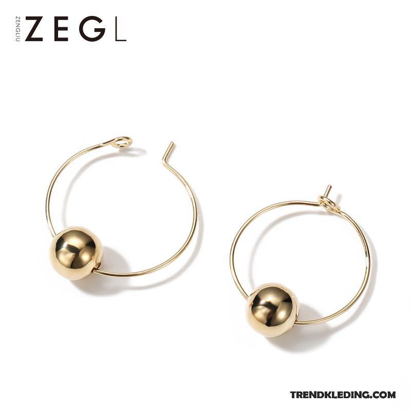 Oorbellen Dames Persoonlijkheid Elegante Accessoires Lange Europa Mode Goud